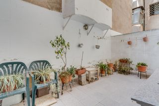 Piano terra  Carrer de felip ii