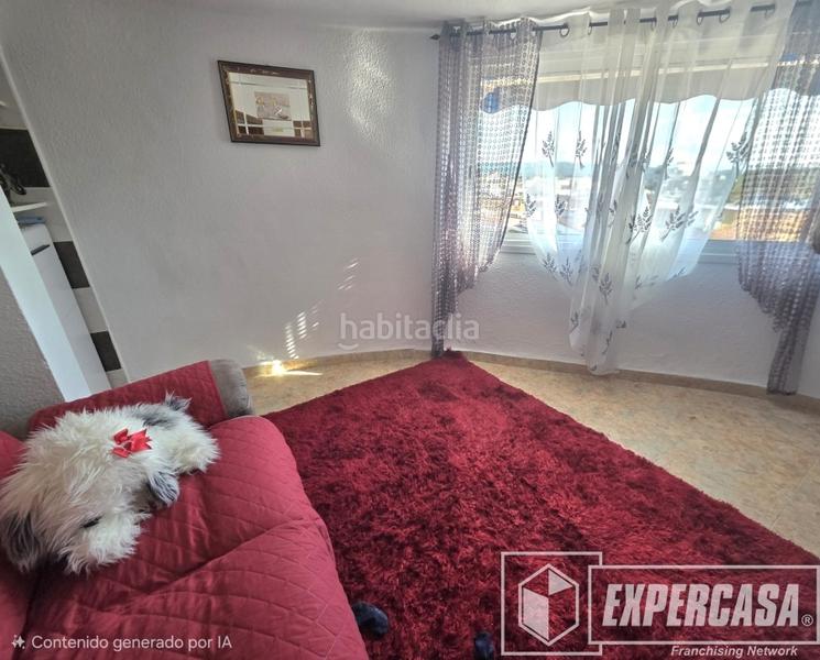 Foto cc9a21f5-4375-40e1-9e84-ddecf7c17db2. Pis a Sants Patrons Alzira