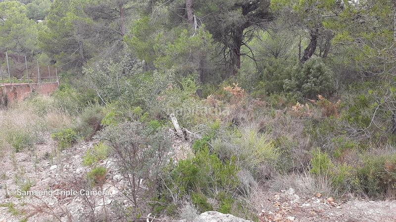 Foto 9fe3b98f-b3a5-42ae-b8eb-f9f18184107a. Terrain résidentiel dans Montmell (El)