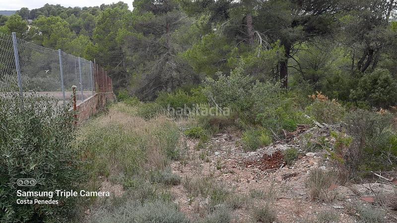 Foto e8fc6fff-67ae-4211-bdd8-59af1facb859. Terrain résidentiel dans Montmell (El)