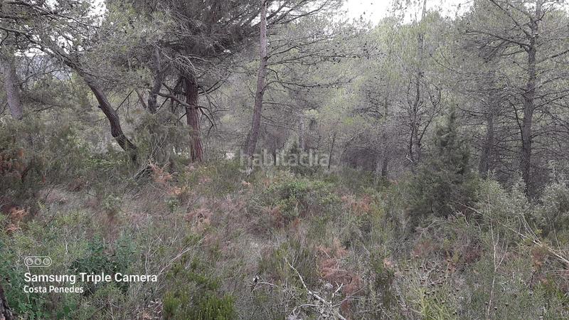 Foto ff8365b1-21c2-4f4d-a86c-006134986588. Terrain résidentiel dans Montmell (El)