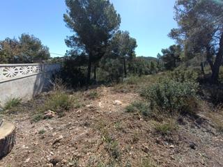 Wohngrundstück in Bisbal del Penedès (La). Terreno urbanizable en la bisbal