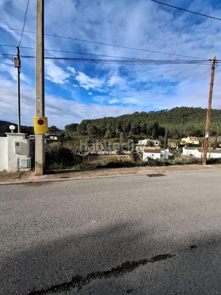 Foto e1c5afa4-83cf-4991-87b7-5378bccd6088. Terreny residencial a Olivella