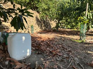 Landgut in Torrox Pueblo. Terrenos en venta en torrox