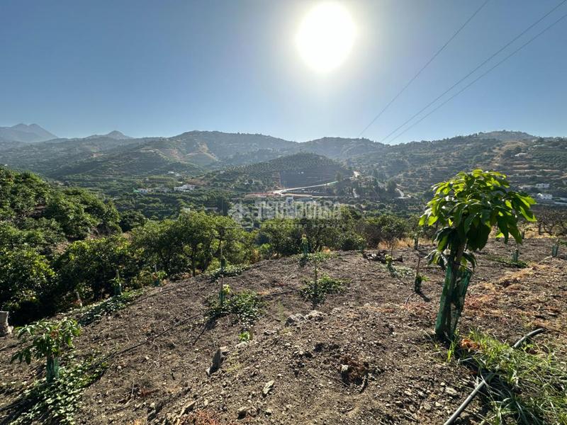 Foto 426b41aa-c211-4c42-86f0-86d859e95e15. Landgut in Torrox pueblo Torrox