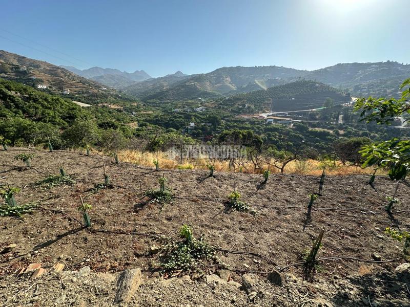 Foto 4b9af6a4-21c1-4461-875d-229395c0b166. Landgut in Torrox pueblo Torrox