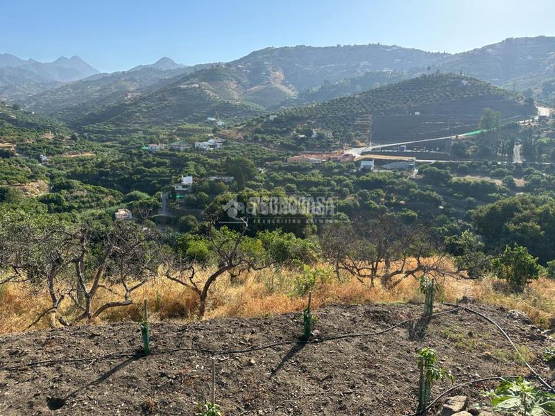 Foto 931844d1-c239-40fd-b5c3-08c468a5f969. Landgut in Torrox pueblo Torrox