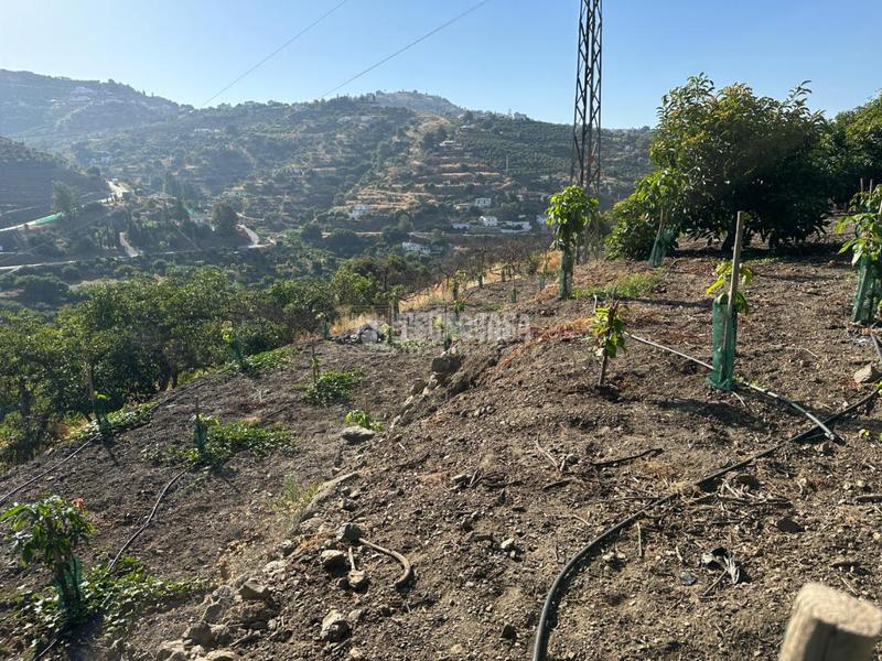 Foto a9622a82-2e31-4c01-8958-f344da2296e1. Landgut in Torrox pueblo Torrox