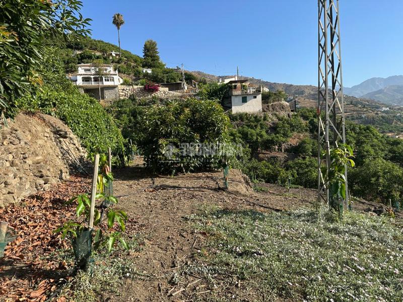 Foto ecc42aa4-fe13-4da8-b3f6-5a1b47245002. Landgut in Torrox pueblo Torrox