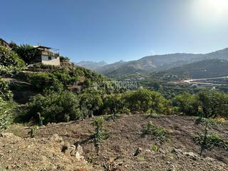 Landgut in Torrox Pueblo. Terrenos en venta en torrox
