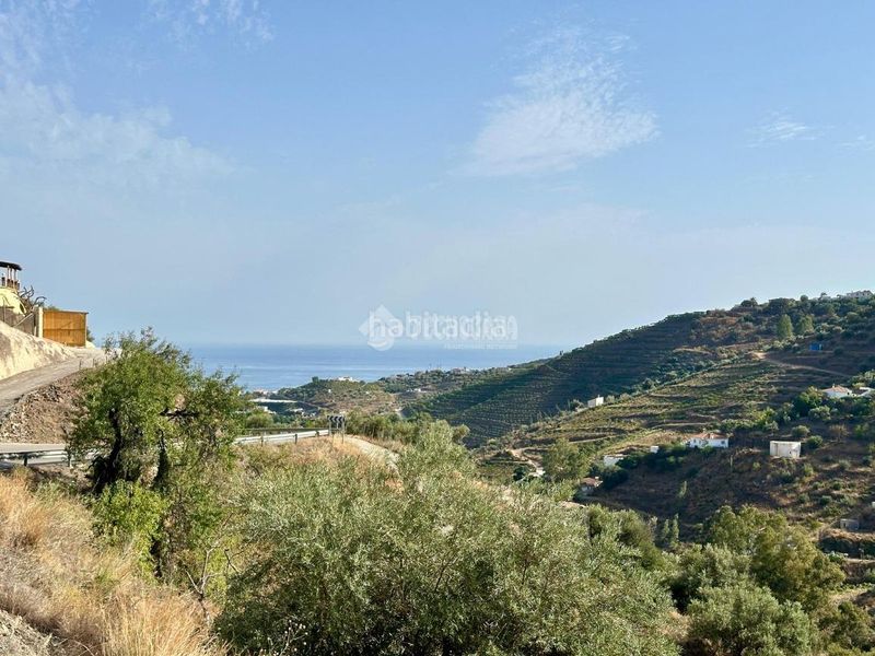 Foto 574a7161-6f30-403f-b040-e961364304e1. Finca rústica a Torrox pueblo Torrox