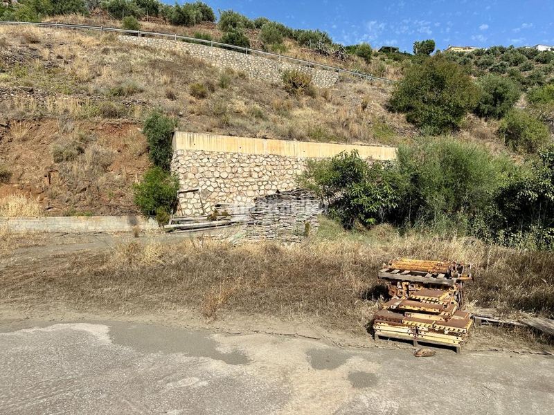 Foto 6d3b3cd5-e3f4-4f5e-8951-3153e7c94e47. Finca rústica a Torrox pueblo Torrox