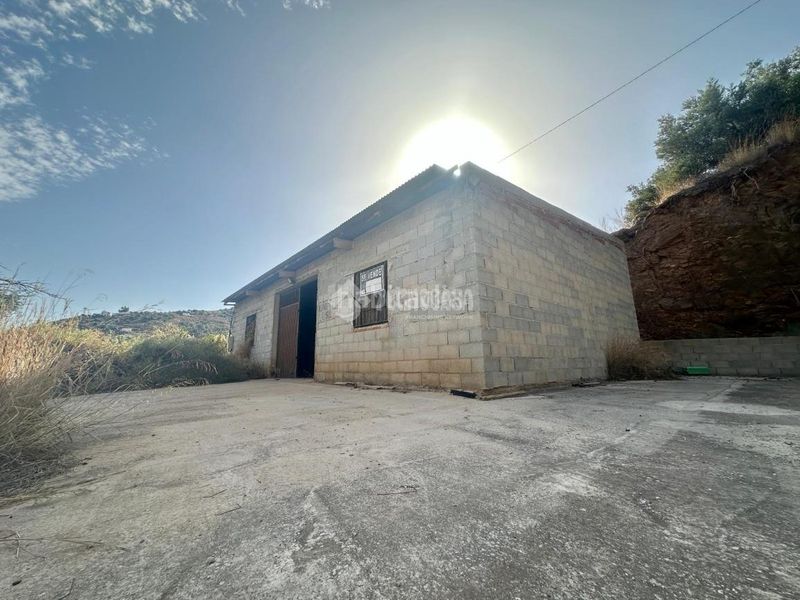 Foto a1693c7c-644e-442b-9359-a9d7df22fbf5. Finca rústica a Torrox pueblo Torrox