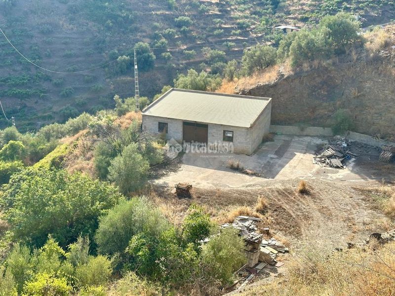 Foto bb498c22-e296-4d7f-ae3c-cc068d3518da. Finca rústica a Torrox pueblo Torrox