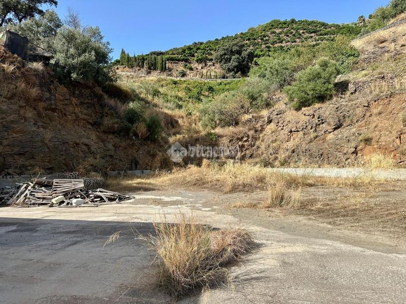 Foto bf1e3d2f-2ad6-4e61-9db6-fa6a29cf66af. Finca rústica a Torrox pueblo Torrox
