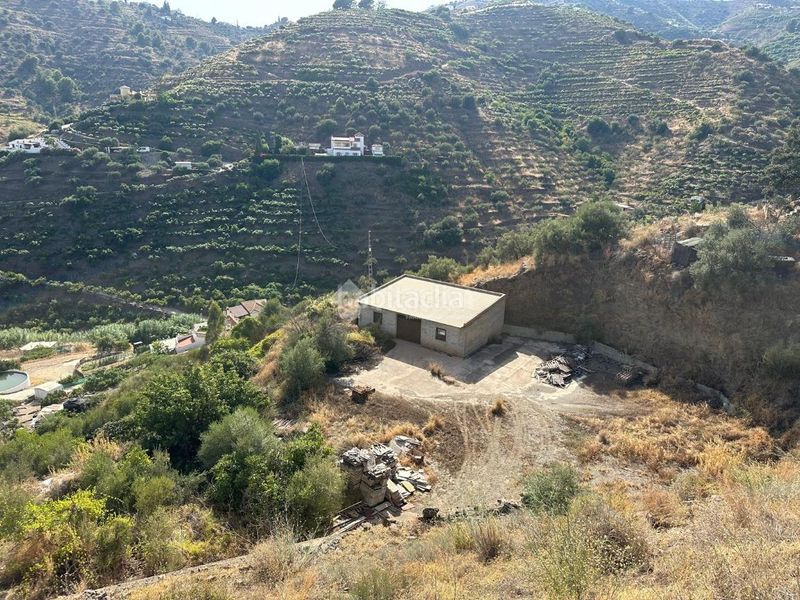Foto f54c8d75-33a6-4c7a-8f7a-1c93997e97f0. Finca rústica a Torrox pueblo Torrox