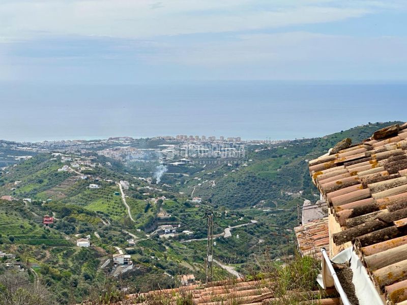 Foto 4ba2ad51-cf31-49a3-b1d4-db5a9e6d4bd5. Finca rústica a Torrox pueblo Torrox