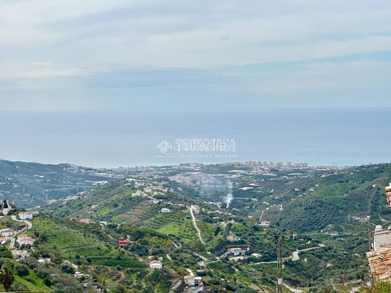 Foto 5a13db54-4dab-4453-983c-ce84a31645da. Finca rústica a Torrox pueblo Torrox