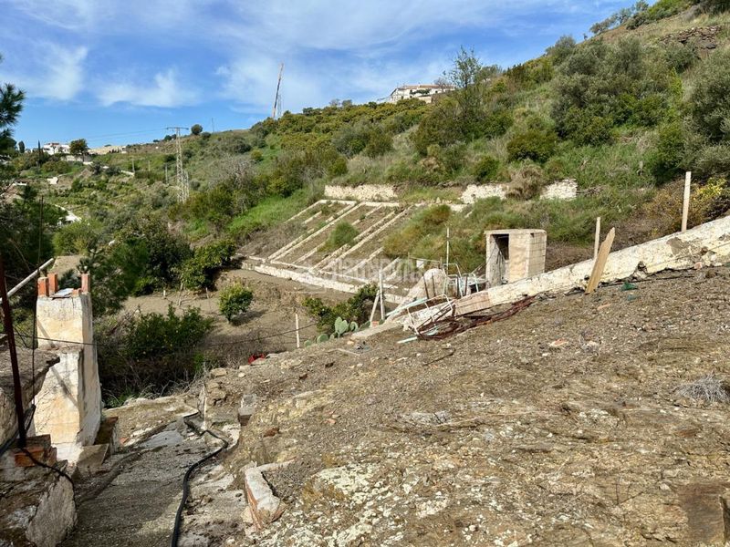 Foto a1b3cf96-7caa-4719-824c-3d4f6765c00b. Finca rústica a Torrox pueblo Torrox