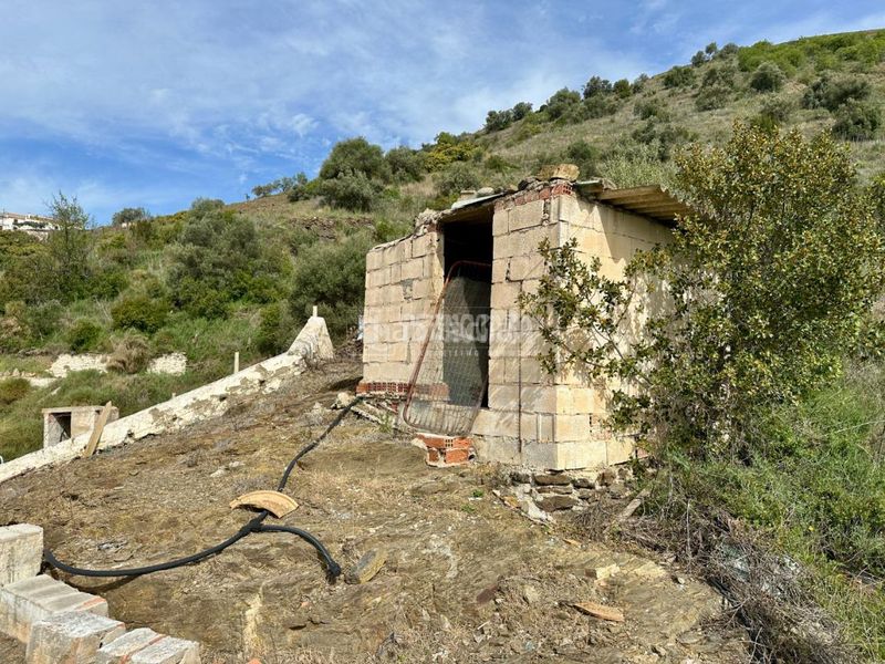 Foto a9518c96-b3a3-47ed-b45a-0121ed6f685f. Finca rústica a Torrox pueblo Torrox