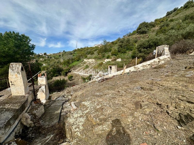 Foto b102d6b4-f77b-4f37-8fdf-a00678dc02d7. Finca rústica a Torrox pueblo Torrox