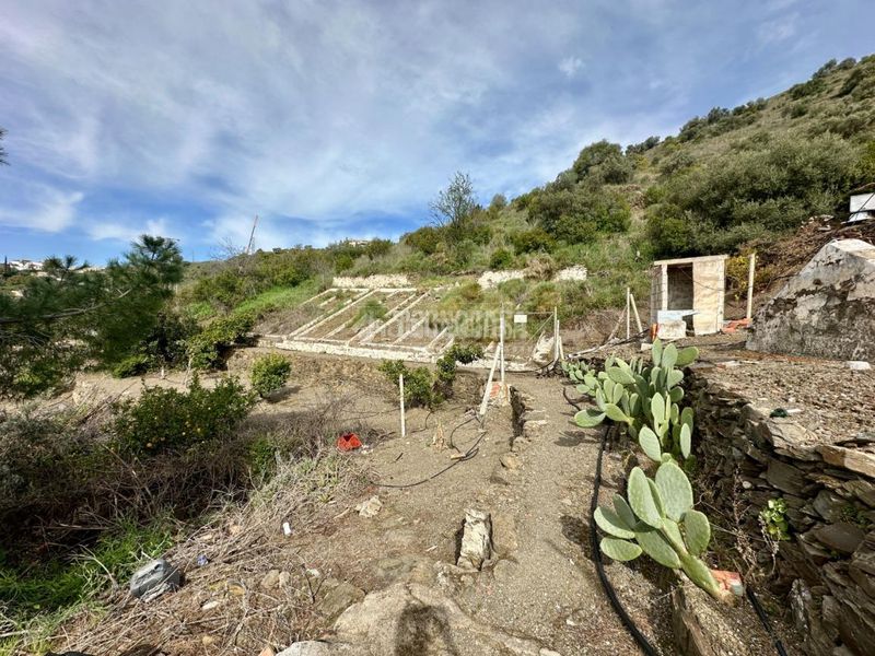Foto c6e593d3-4925-47a7-9037-87402b4ced87. Finca rústica a Torrox pueblo Torrox