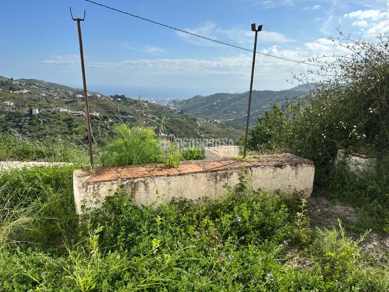 Foto 34bf44aa-6d96-4ec9-998f-ea0bbff5bde8. Masía casa rural en venta en Torrox pueblo Torrox