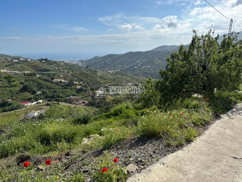 Foto ab2ee0a6-a7c4-4891-8b18-f13e8021eb3c. Masía casa rural en venta en Torrox pueblo Torrox