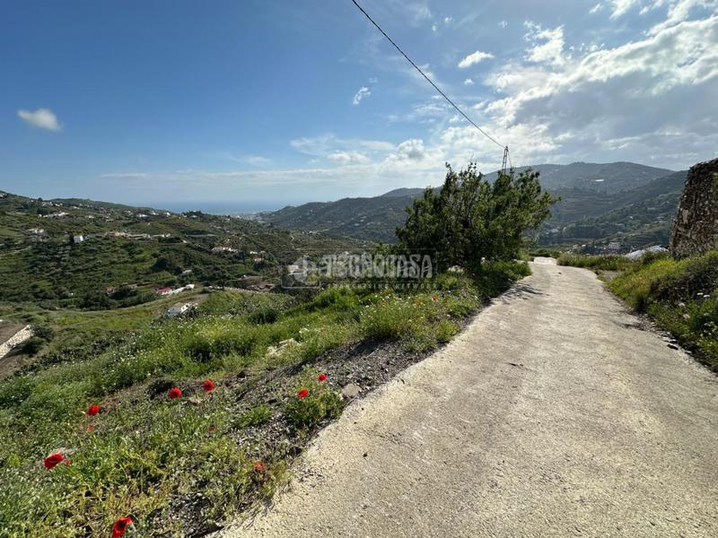 Foto e4a01cfb-6d7e-4bda-8ef9-27b5197d4ce1. Masía casa rural en venta en Torrox pueblo Torrox