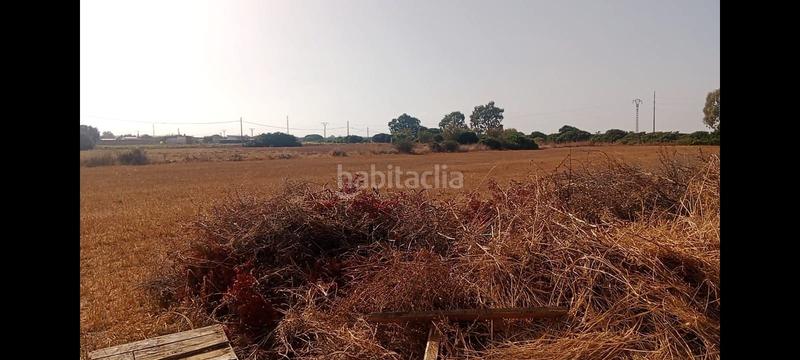 Foto 05662d74-3933-4223-99f5-f83d3b3a3593. Finca rústica a Roche Conil de la Frontera