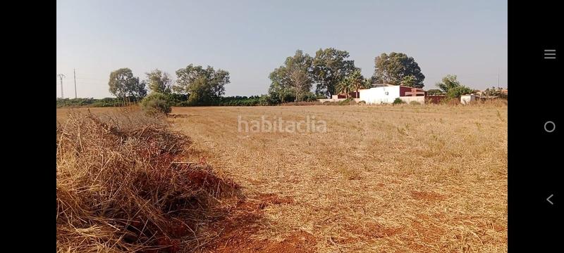 Foto 3b3d0a9a-e138-491b-b7ee-d3b880f3ef4b. Finca rústica a Roche Conil de la Frontera