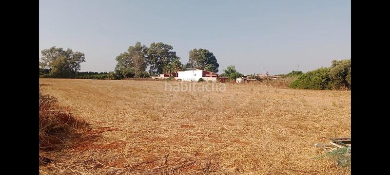 Foto 42839d39-85af-4a77-9f9c-e2390f7d7f65. Finca rústica a Roche Conil de la Frontera