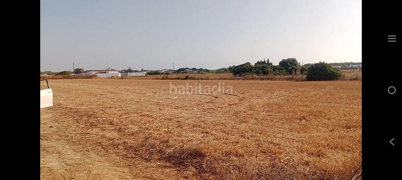 Foto c41782e6-a640-4e18-8abf-f7c9e59e9856. Finca rústica a Roche Conil de la Frontera