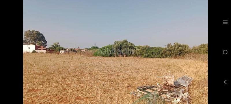 Foto e90762b0-3119-4c83-a15c-02362c712633. Finca rústica a Roche Conil de la Frontera