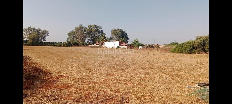 Foto f075a573-a8c3-4762-baeb-3d6c319b1839. Finca rústica a Roche Conil de la Frontera