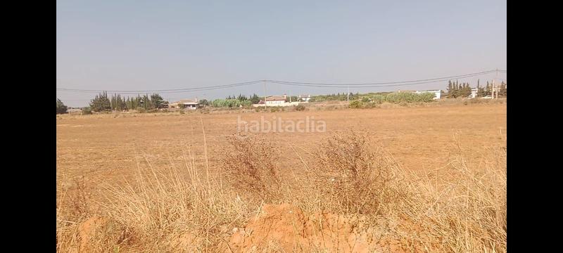 Foto c6abc0dc-5df6-4cb8-8ea3-586ef17af698. Finca rústica a Roche Conil de la Frontera