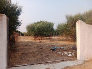 Terreno residencial en Los Caños de Meca. Parcela en caños de meca
