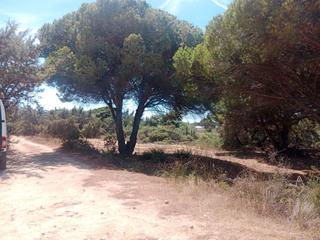 Finca rústica a Las Lagunas - Campano. Terreno en caños de meca