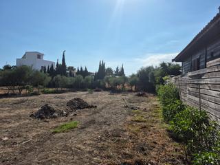 Terreno residencial en El Palmar. Parcela en el palmar