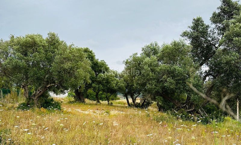 Foto 64aa67a2-900c-4da5-b2b3-d5c92fc6b62c. Finca rústica a El Palmar Vejer de la Frontera