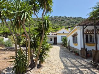 Chalet en Los Caños de Meca. Terreno segregado hipotecable con 2 casas