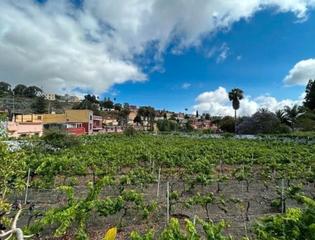 Casa a Los Alvarados - Fuente los Berros - Bandama