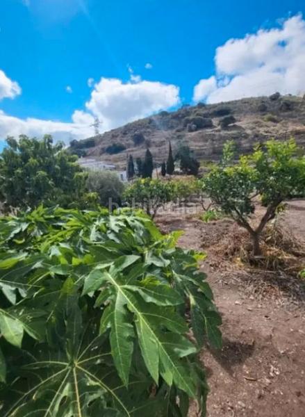 Foto 326cfb14-4539-405d-b1ee-e59fd7f7580c. Casa en San Lorenzo Palmas de Gran Canaria (Las)