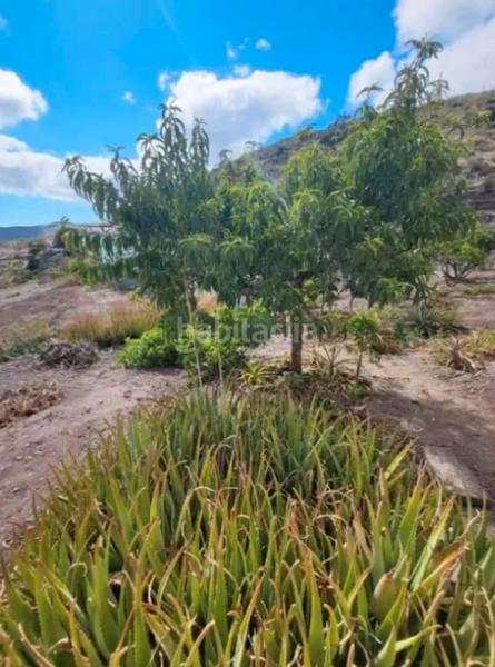 Foto cb1ed0e8-7b5e-48cc-a559-ead90ef9392d. Casa en San Lorenzo Palmas de Gran Canaria (Las)