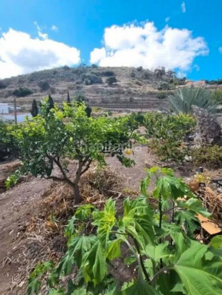 Foto e3ccbab3-bcf4-49a2-b0a7-88750d6b6e6e. Casa en San Lorenzo Palmas de Gran Canaria (Las)