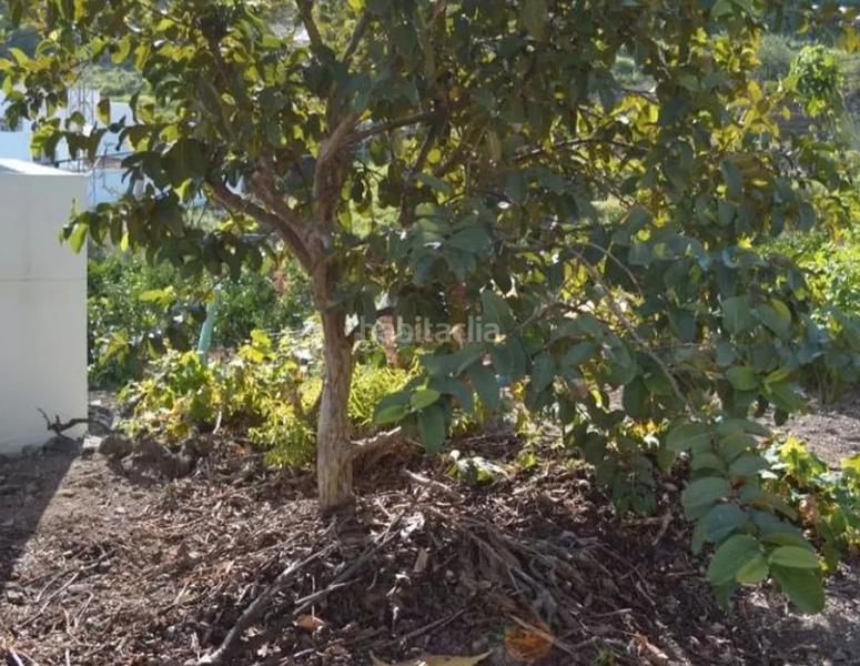 Foto 12fe574a-50ec-4c81-86c3-6dcdc6843bfa. Haus in San Lorenzo Palmas de Gran Canaria (Las)