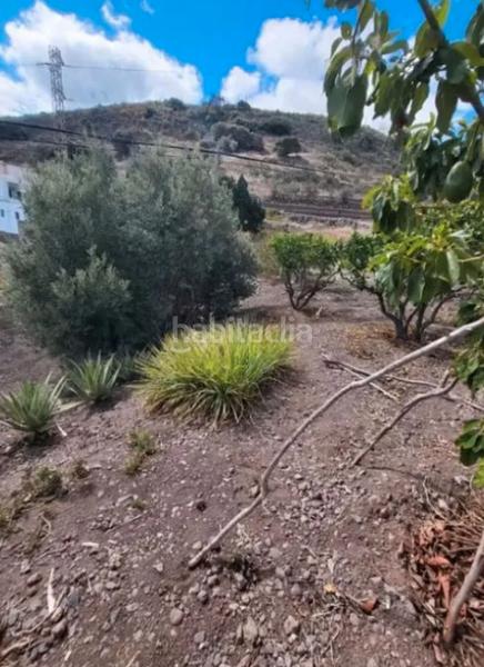 Foto 83c4a7ad-96b4-4cf3-9014-b57235b0a367. Haus in San Lorenzo Palmas de Gran Canaria (Las)