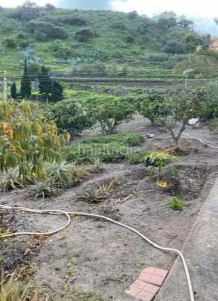 Foto b793014e-dd2f-4915-9e5c-54ad63cbeb83. Haus in San Lorenzo Palmas de Gran Canaria (Las)