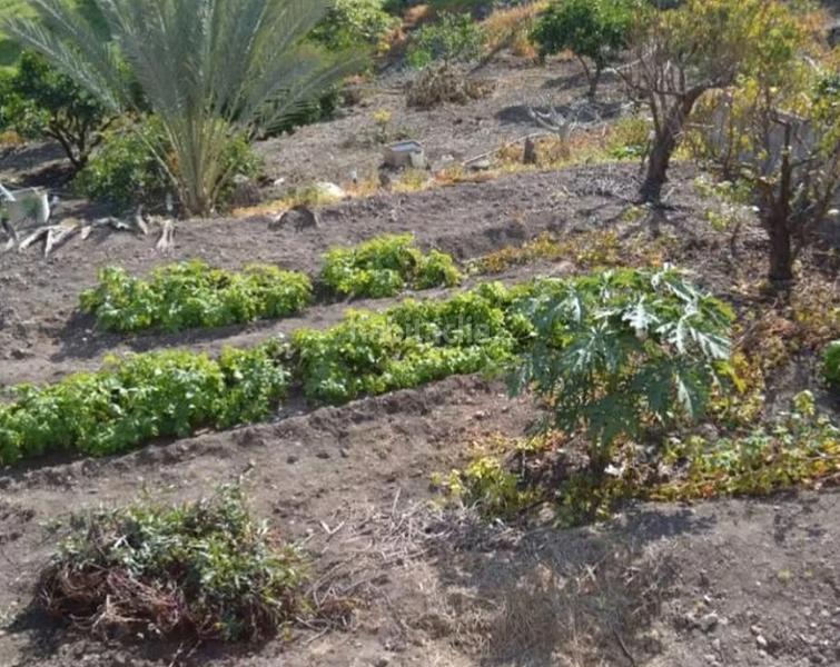 Foto d75c07ea-3c5c-495e-82a4-7ccab7d601c0. Haus in San Lorenzo Palmas de Gran Canaria (Las)