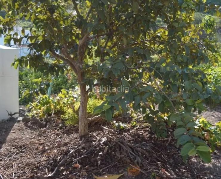 Foto e542efa1-11b8-4913-90f4-b222365a6a97. Haus in San Lorenzo Palmas de Gran Canaria (Las)